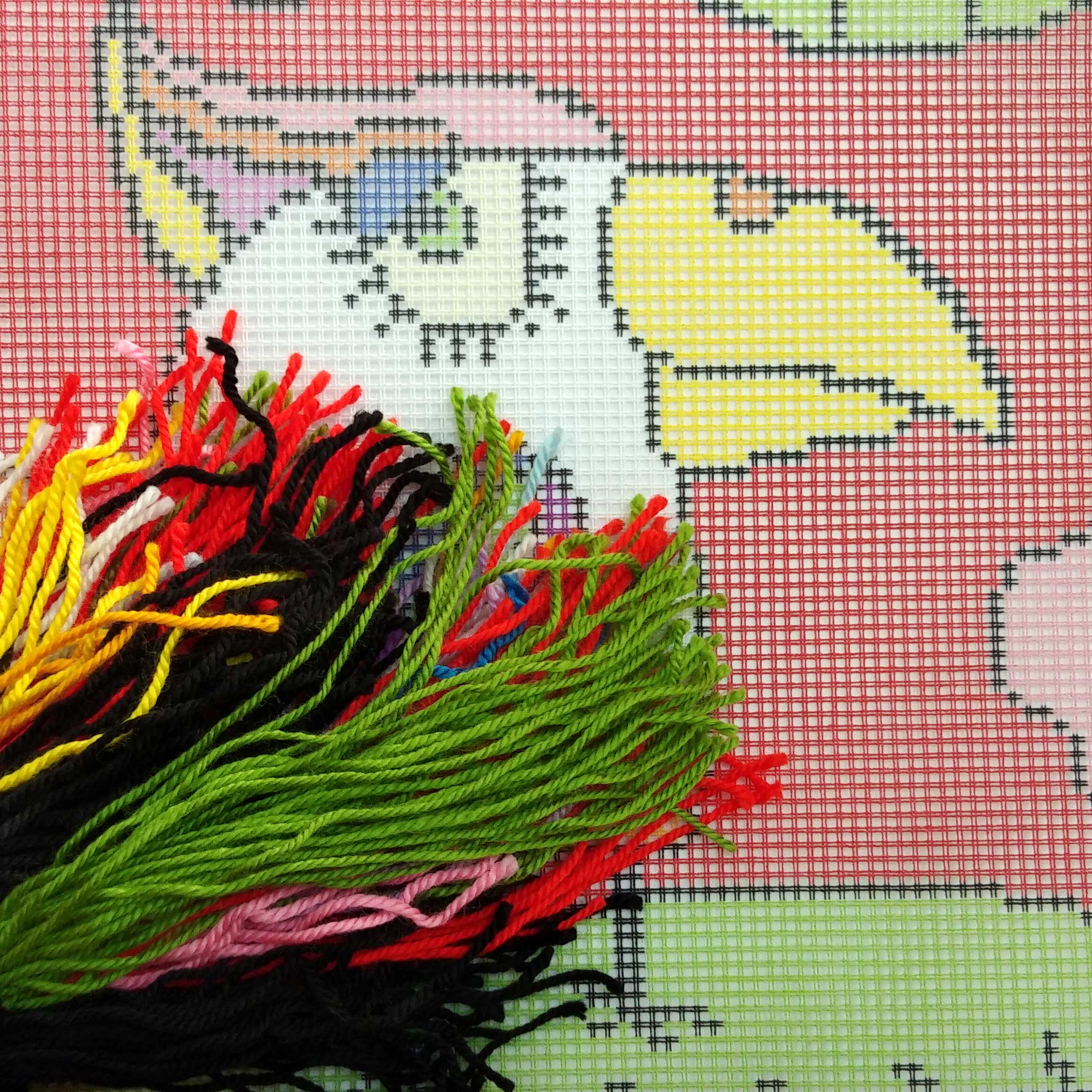 Parrot — Embroidery Kit 16″ × 16″ by Brvsk