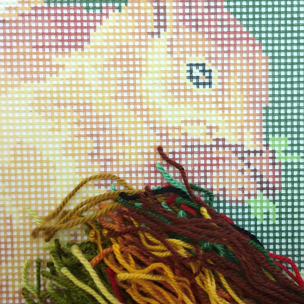 Brvsk Ferine Needlepoint Kit for Adults and Beginners — Squirrel 16″ × 16″ with Clear, Precise Printed Design on Cotton Canvas; Includes 2 Needles, Yarn, and Easy-Read Chart