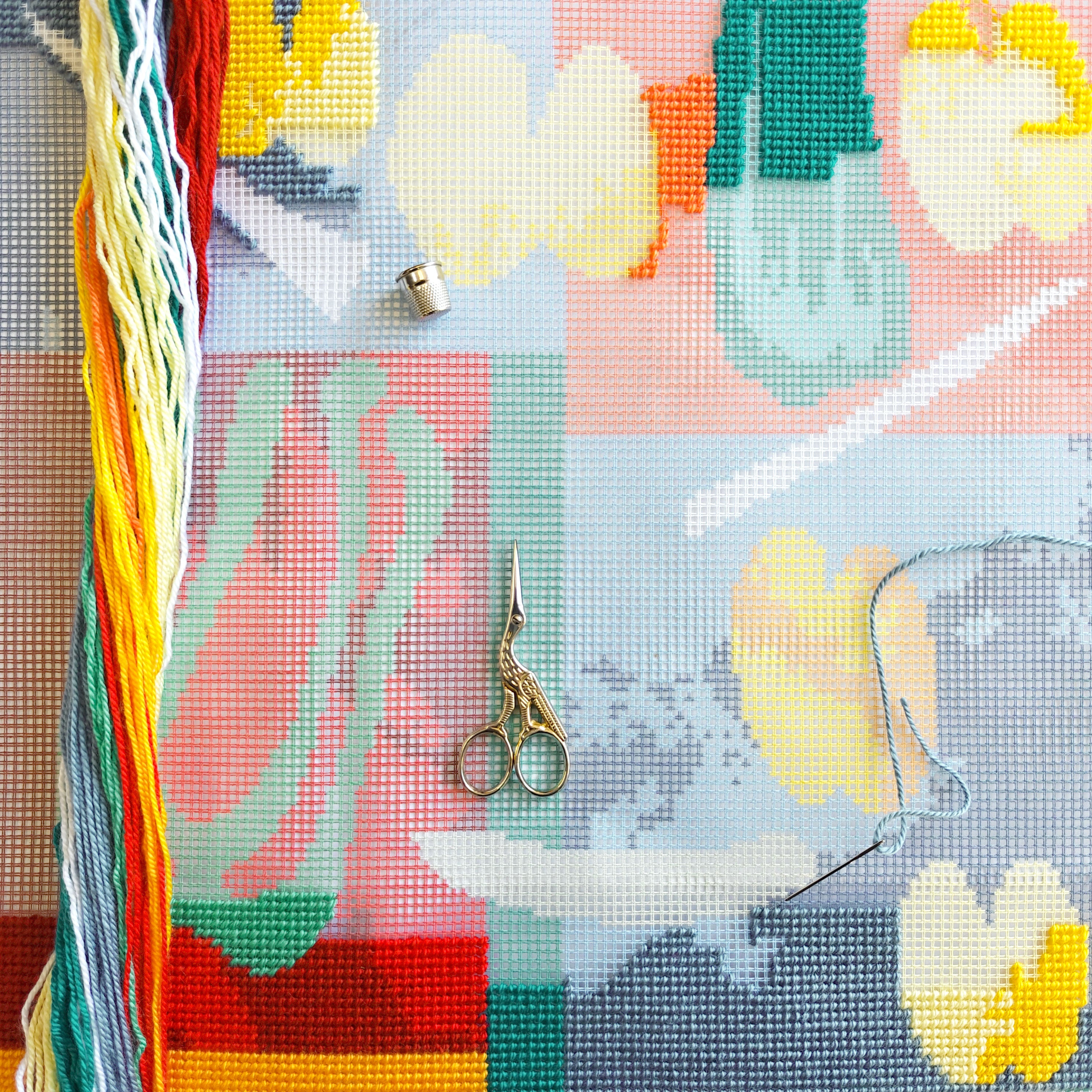 Abstract Stamped Cross-Stitch Kit for Adults and Beginners — Vegetables by Henri Matisse 16″ × 16″ with Clear, Precise Printed Design on Cotton Canvas; Includes 2 Needles, Yarn, and Easy-Read Chart