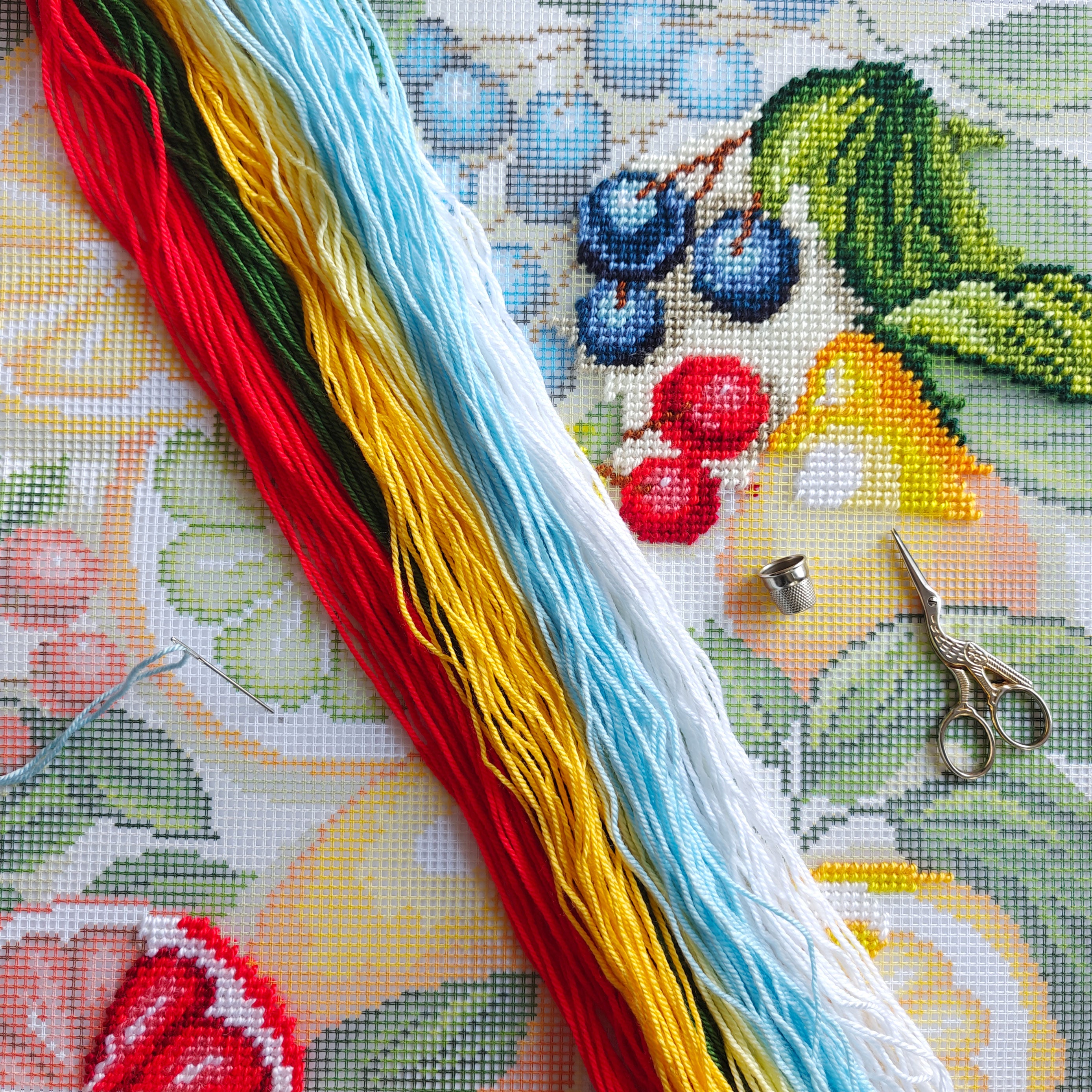 Fruity Fiesta — Needlepoint Kit 16″ × 16″ by Brvsk