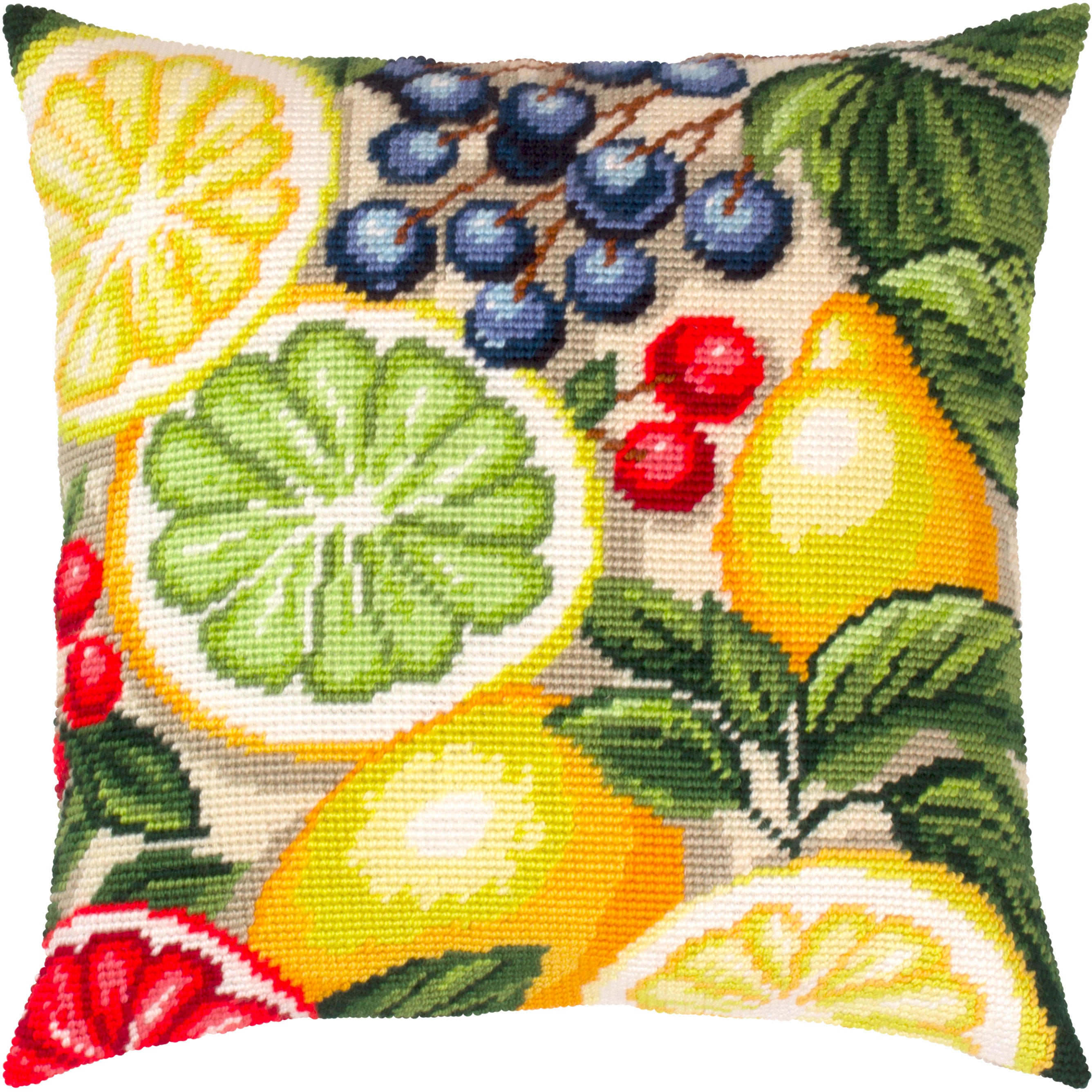 Brvsk Needlepoint Pillow Kit — Fruity Fiesta, 16″ × 16″