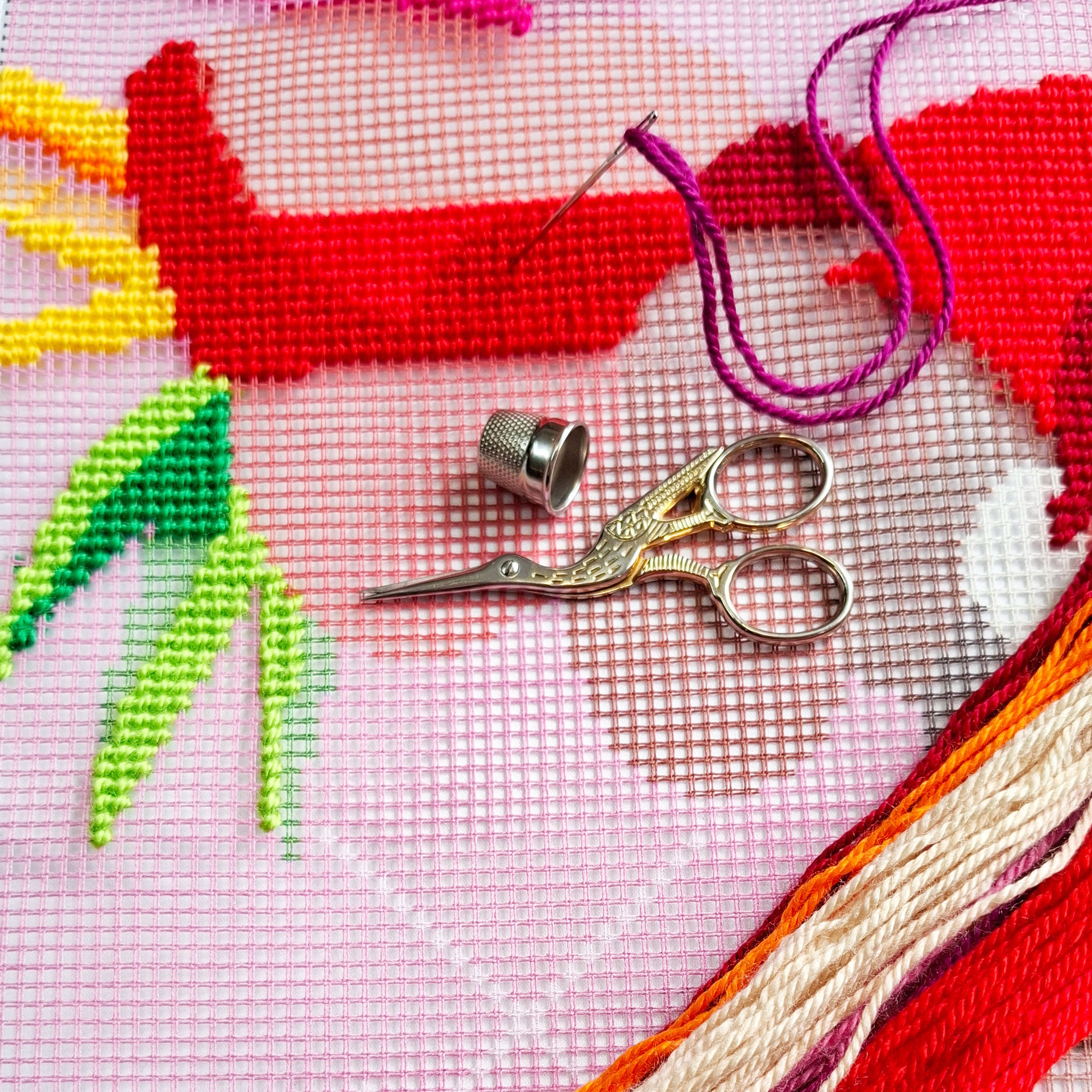 Freedom — Needlepoint Kit 16″ × 16″ by Brvsk